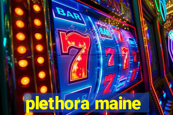 plethora maine